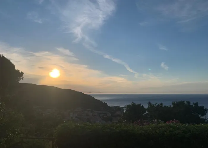 Blue Living - Alta Marina