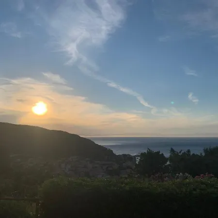 Alta Marina